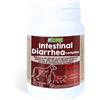 GENERAL&PHARMA Srl Intestinal Diarrhea Complex Petformance 14 Compresse