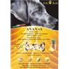 DEMAS Srl Biscotti Micros Ananas RollsRocky 300g