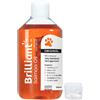 HOFSETH BIOCARE ASA BRILLIANT SALMON OIL C/G 100ML