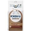 SANYPET SpA Intestinal Colon Fase 2 Forza 10 Active Vet Diet 4kg