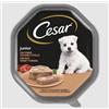 Cesar Junior Cibo Per Cuccioli - Vaschette 150g Tacchino E Vitello, 14 Pezzi, 88kcal/100g - Foto 10