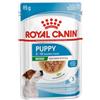 ROYAL CANIN ITALIA SpA SHN WET MINI PUPPY 12X85G