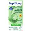 TAVOLA SpA DEPILSOAP STRISCE CRP NORM20PZ