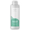 B&C TONICO 250 ML NEW