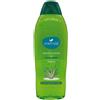 VANTAGE B\S ALOE VERA 750 ML