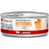 Diet Cat Metabolic Balance Intestinal al Manzo Disugual 85g