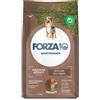 SANYPET SpA Crocchette Medium-Adult Agnello Forza10 Maintenance 12Kg