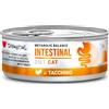 Diet Cat Metabolic Balance Intestinal con Tacchino Disugual 85g
