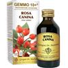 DR.GIORGINI Dr. Giorgini Gemmo 10+ Rosa Canina Liquido Analcolico 100 Ml