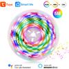 Tuya Striscia LED RGB+IC a 3 Pin 5 metri Impermeabile