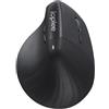 IOPLEE 309BTR mouse Universale Mano destra RF Wireless 1600 DPI