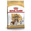 ROYAL CANIN CANE ADULTO CAVALIER KING 3 KG