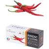 Ricarica Giardino interno peperoncino piccante "Cayenne"