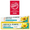 NATURWAREN ITALIA Srl DR THEISS ARNICA FORTE AQUA GE