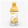 Shedir Pharma Termodren Evo Te Limone Drenante Equilibrio Peso Corporeo,500ml