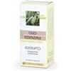 Farmaderbe Eucalipto Olio Essenziale Integratore Alimentare, 10ml