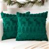 Artscope 2 Pezzi Natalizio Federe in Lana Corta Velluto Copricuscini Morbido Decorativo Fodere per Cuscino Lusso Stile per Divano Camera da Letto Natale Verde 60x60 cm
