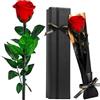 Touloube Rosa Stabilizzata Regalo di San Valentino, Vera Eterna Fiori Rosa Regalo Donna Compleanno Anniversario Per Lei, Regali Mamma Fidanzata Moglie Sorella, Festa Della Mamma, Vera Rosa Rosso