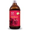 SALUGEA (RELOAD Srl) Salugea Succo di Melograno Bio 500 ml