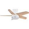 Zarivy Ventilatore DC Neutron 24 W da 2400 lm, in un design bianco e faggio. 5 pale da 91 cm. Luce regolabile in 3000 K, 4500 K, 6000 K. Include telecomando, timer e memoria.