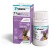 Vetoquinol ZYLKENE PLUS CANI 15-60 KG 30 CAPSULE