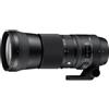 Sigma 150-600mm F/5-6.3 DG OS HSM Contemporary Canon EF | ✅ Garanzia di 5 anni