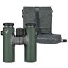Swarovski CL Companion 8x30 Groen + Northern Light pakket | ✅Garanzia di 5 anni