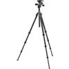 Gitzo GT2542 + GHF3W Mountaineer kit