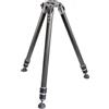 Gitzo GT4533LS eXact Carbon Systematic L della serie 4