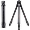 Falcam Treppiede da viaggio Falcam TreeRoot Quick Lock
