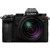 Panasonic Lumix S5D + 28-200 mm F/4-7.1