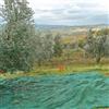 4F GROUP Rete per olive 4F GROUP Rete olive Antispina 12x12 c/apertura L 12 x H 12 m
