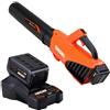 Echo Soffiatore ECHO , 40 V batteria inclusa