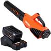 Echo Soffiatore ECHO , 40 V batteria inclusa