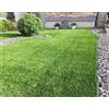4F GROUP Erba sintetica 30 mm 4F GROUP Deluxe al rotolo 5 x 2 m, 10 m²
