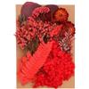 PATIKIL Fiori Secchi Naturali, Piante di Fiori Pressati Secchi Colorati Multipli per Scrapbooking di Candele di Sapone in Resina Artigianale, Stile Rosso