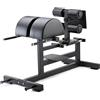 Diamond Panca GHD Bench Pro Diamond Professional