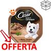 Cesar Dog Ricette di Campagna con Manzo e Tacchino in Salsa - Vaschetta Da 150 Gr - CONFEZIONE RISPARMIO