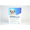 Msd Animal Health Panadron plus 2 compresse cane