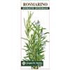 Rosmarino Estratto Integrale 200 Ml