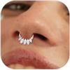 BodyBonita 16G Argento Septum Piercing Acciaio Chirurgico 316L CZ Nostril Piercing Naso Cerchio Helix Orecchino Trago Naso Cerchio Daith Cartilagine Setto Rook Piercing Naso Anello 8mm Star Gleam
