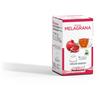 Sandemetrio Capsule Sandemetrio Infuso Melagrana Comp. Dolce Gusto | Sandemetrio | Capsule Solubili | DOLCE GUSTO solubili, SOLUBILI, SOLUBILI (tutte)| Prezzi Offerta | Shop Online