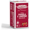 Sandemetrio Filtri Sandemetrio Infuso Fragola e Lampone | Sandemetrio | All Products | INFUSI DI THE, SOLUBILI, SOLUBILI (tutte), TISANE solubili| Prezzi Offerta | Shop Online