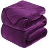 HOZY Plaid Coperta Pile Matrimoniale Antistatica - Super Morbido Coperta leggera e Calda - Adatta per Copriletto Copriletto e Copridivano - Viola Grande 220x240cm