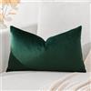 Artscope Federe Cuscini in Velluto Minimalista Copricuscino Colorato per la Decorazione Domestica Soggiorno Camera da Letto Divano 30x50cm, Verde Scuro
