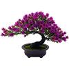Fycooler Bonsai Artificiale Piante Finte da Interno per la Decorazione di Casa e Ufficio,Albero,Pianta Artificiale Decorativa Iperrealistica con vaso Decorazioni per Tavolo Scrivania Soggiorno Mensole