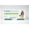Ecuphar Prazitel xl 20 compresse