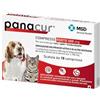 Msd Animal Health Panacur forte 500 mg 10 compresse