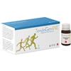 B2PHARMA TENDOGENIAL 14FL 15ML