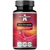 APOLLO'S HEGEMONY Niacinamide 500 mg per compressa - 60 compresse vegane - 2 mesi di fornitura - Supporta l'energia e la funzione nervosa - Integratore alimentare di vitamina B3 - da Apollo's Hegemony